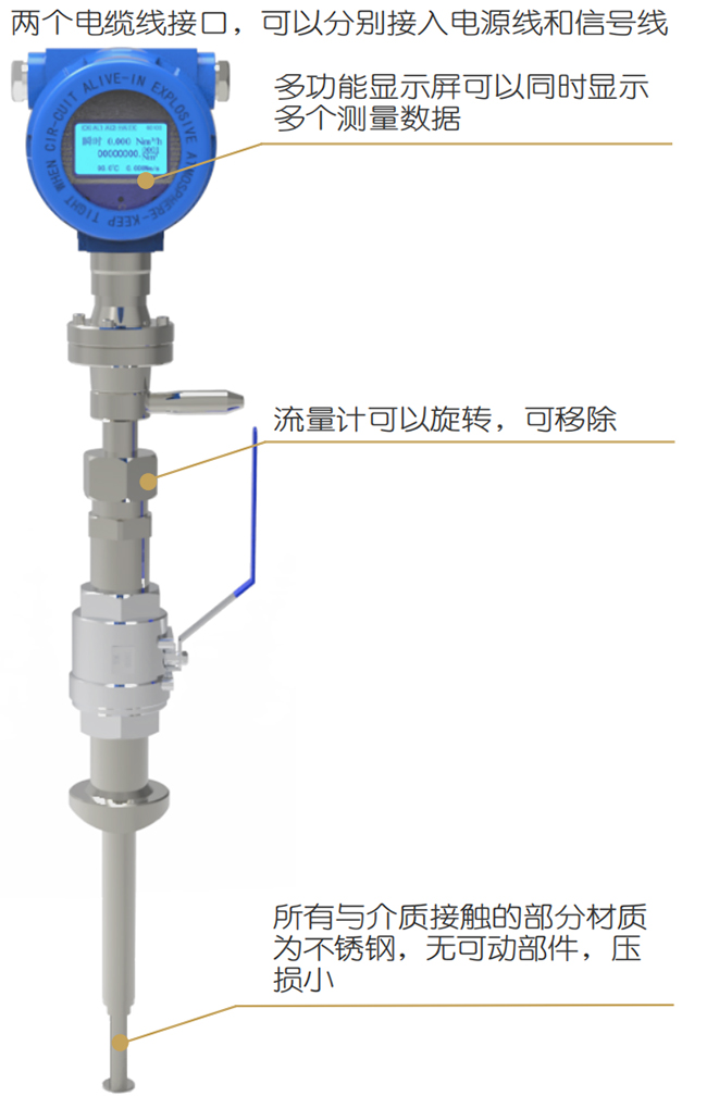 天然氣熱式氣體質(zhì)量流量計結構圖